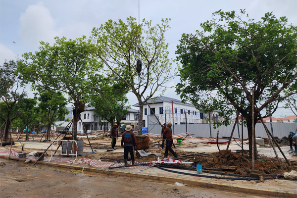 ตั้งการ์ดสู้วิกฤต